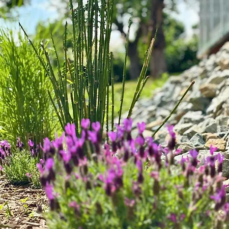 Brenner Einchecken Und Wohlfuehlen * Langenbernsdorf