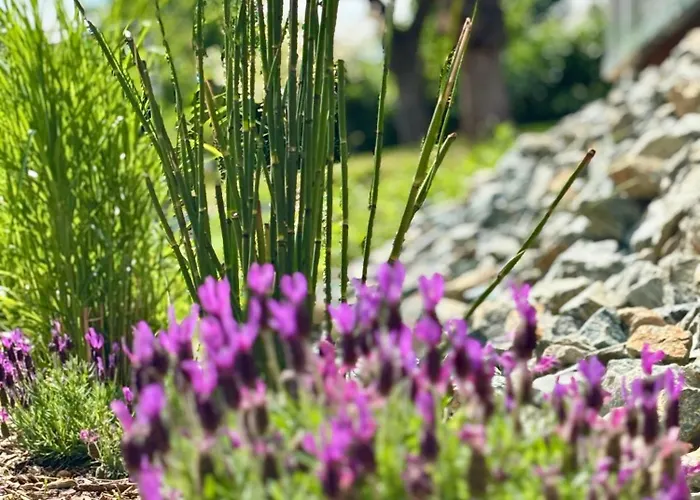 Brenner Einchecken Und Wohlfuehlen * Langenbernsdorf